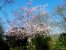 Update vom 04.04.2022: Foto von RyzA