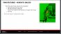 AMD FSR 2.0 - GDC Slides - Thin Feature - When to Unlock (2)