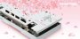 Powercolor präsentiert das nächste Custom-Modell einer Radeon RX 6650 XT. Diesmal nicht in Schwarz, sondern in Weiß mit pinken Akzenten.