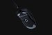 Razer hat die neue Viper-V2-Pro-Gaming-Maus auf den Markt gebracht. Mit einem Gewicht 58 Gramm ließe sich mit ihr Tennis spielen. (4)
