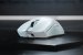Razer hat die neue Viper-V2-Pro-Gaming-Maus auf den Markt gebracht. Mit einem Gewicht 58 Gramm ließe sich mit ihr Tennis spielen. (5)