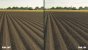 Landwirtschafts-Simulator 22 - Parallax Occlusion Mapping