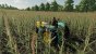 Landwirtschafts-Simulator 22 (1)