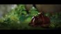 Stray PC (Bilder: UHD mit spieleigenen Post-Sharpening, downsampled @ 1440p) 3