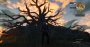 CD Projekt Red wird 20: The Witcher 3 erneut auf dem Prüfstand (20)