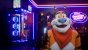 Twitch: Virtuelles Cornflakes-Tiger streamt mit milchgekühltem Gaming-PC