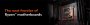 AMD Ryzen 7950X, 7900X, 7700X und 7600X offiziell: 60 Prozent schneller als Alder Lake, 50 Prozent effizienter (37)