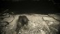 Parallax Occlusion Mapping
