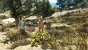 A Plague Tale Requiem - Neben der Beleuchtung und den größtenteils feindetaillierten, hochauflösenden und zumeist polygonreichen Photogrammetrie-Assets, der schicken Beleuchtung und den hochqualitativen Effekten sticht außerdem die filigrane und sehr ansehnlich verschattete Vegetation ins Auge – die obendrein sehr authentisch ist: gelber Ginster, Lavendel, Lupinen, Kiefern und Olivenbäume sorgen für glaubhaft südfranzösischen Flair.&nbsp;