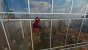 Spider Man Remastered: Raytracing selbst mit v3445-Treiber defekt.