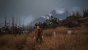 Uncharted - Legacy of Thieves Collection - Upsampling - 22 - 4K DLSS Balanced