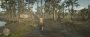 Red Dead Redemption 2 Bayou
