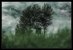 Update vom 10.12.2022: Foto von BlackFog