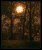 Update vom 10.12.2022: Foto von BlackFog
