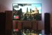 OLED an der Wand
