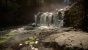 Sons of the Forest (Final) im Tech-Test: Benchmarks von 30 Grafikkarten