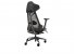 Asus hat den ROG Destrier Ergo Gaming Chair vorgestellt. (2)