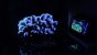 OLED von <a href="https://extreme.pcgameshardware.de/members/der_apfeldieb.167543/"><strong>Der_Apfeldieb</strong></a>