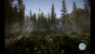 Sons of the Forest 16:10