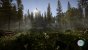 Sons of the Forest 16:9