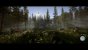 Sons of the Forest 21:9