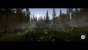 Sons of the Forest 32:9