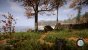 Sons of the Forest - Early Access (2)