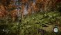 Sons of the Forest - Early Access (7)