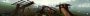 TheForest 2023 01 14 12 56 12