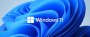 Windows 11