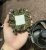 AMD Wraith Stealth