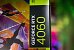Geforce RTX 4060 gegen Radeon RX 7600: Benchmark-Vergleich mit 46 GPUs seit GTX 970 (6)