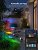 Govee Outdoor LED-Strahler beleuchten den Garten.