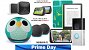 <strong>Prime Day: </strong>Amazon Alexa teils günstiger denn je<strong> - </strong>Echo Dot, Echo Show, Ring, Blink, Kindle stark rabattiert