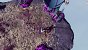 Ratchet und Clank Rift Apart PC Texturmatsch