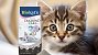 <strong>Katzen lieben dieses Katzenstreu: </strong>Top-bewerteter Amazon-Bestseller mit Babypuder-Duft zum Rabattpreis