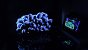 <strong>PC von Der_Apfeldieb</strong><br>&nbsp; (1)