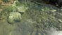 Avatar Frontiers of Pandora - Das neue Snowdrop-Technik-Fest im Benchmark-Test (10)