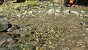 Avatar Frontiers of Pandora Tessellation