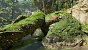 Avatar Frontiers of Pandora Texture Glory