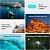 Features der DJI Mini 4 Pro