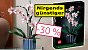 <strong>Diese Blume verwelkt nie:</strong> Lego Icons Orchidee als Weihnachtsgeschenk stürmt Bestseller-Liste