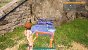 <strong>Palworld im Ersteindruck:</strong> Was taugt das Spiel?
