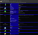 Xe²-HPG ("Battlemage") mit 2.560 Shader-Einheiten