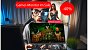 Lenovo G27q Gaming Monitor Deal