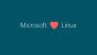 Microsoft loves Linux