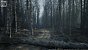 UE5.2 Burned Dead Forest Nanite (1)
