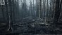 UE5.2 Burned Dead Forest Nanite (3)