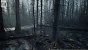UE5.2 Burned Dead Forest Nanite (9)