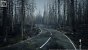 UE5.2 Burned Dead Forest Nanite (10)